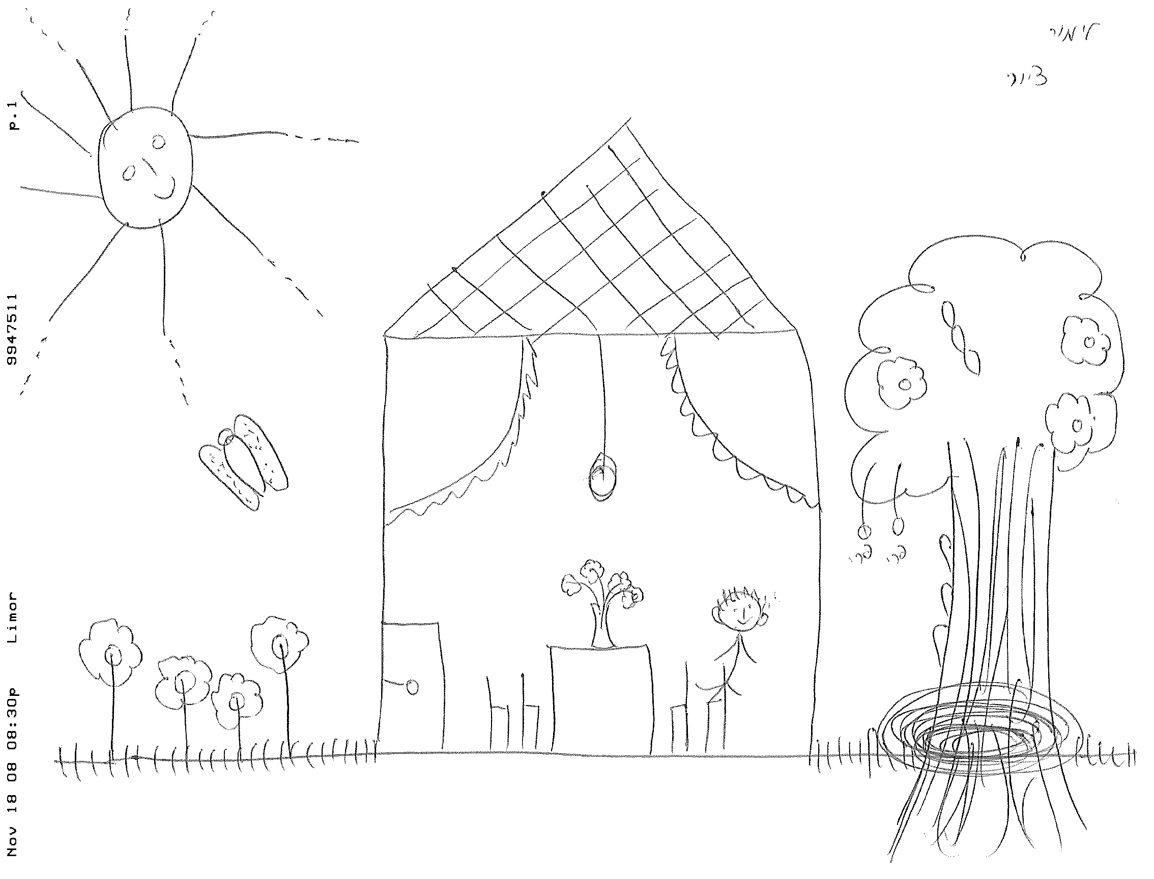 ציור בית שקוף - אבחון ציורים